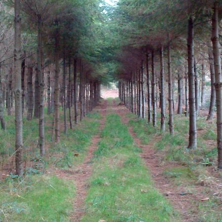 Albergue Turistico Salceda Εξωτερικό φωτογραφία